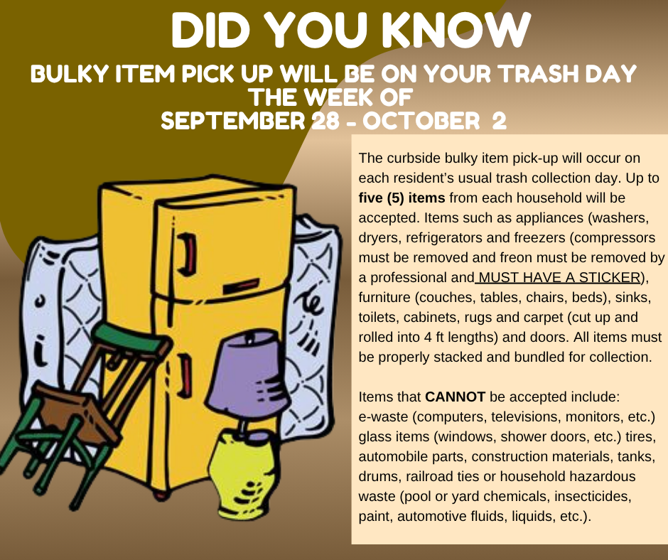 Fall Bulky Item Pick Up